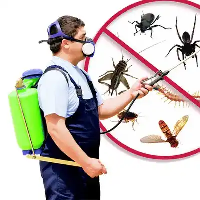 pest control Inkster